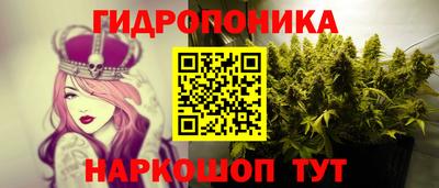 альфа пвп Владивосток