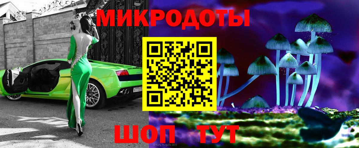 Великий Новгород  Псилоцибиновые грибы Psilocybine cubensis  Псилоцибиновые грибы Cubensis  Вход с VPN 