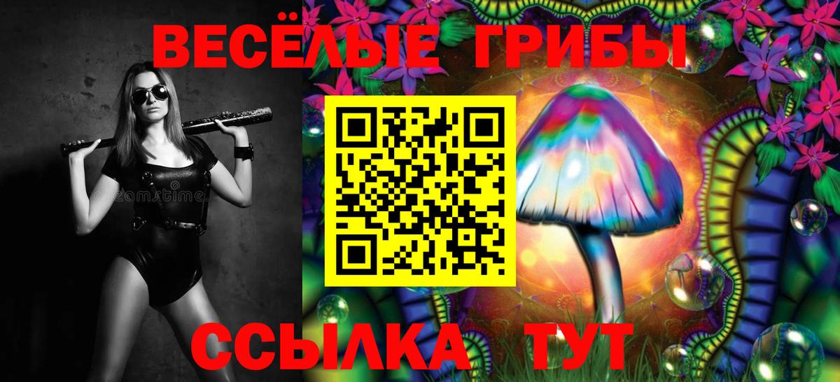 Псилоцибиновые грибы ЛСД Великий Новгород